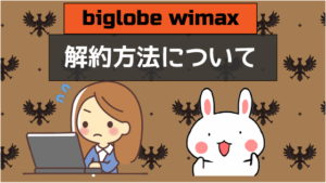 biglobe wimax 解約方法について