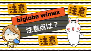biglobe wimaxの注意点は？