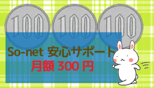 So-net安心サポート：月額300円